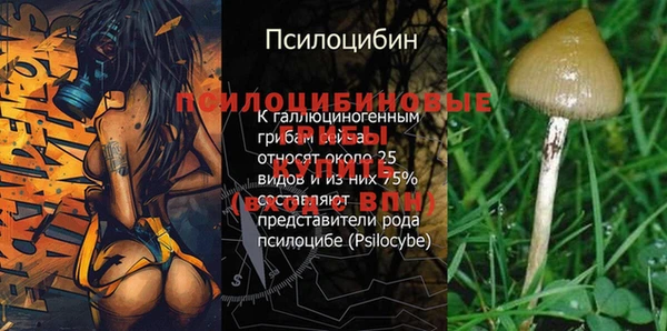 прущая мука Абаза