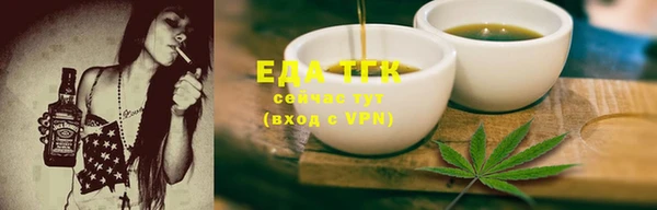 тгк Алексин